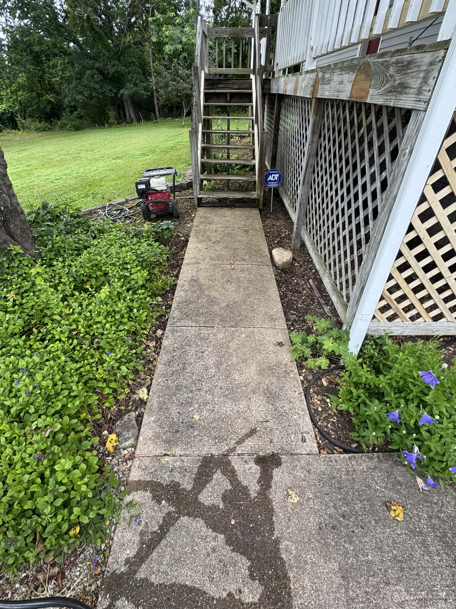 Walkway before pressure washing — Branson MO